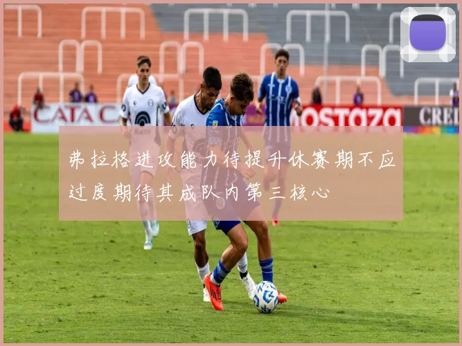 弗拉格进攻能力待提升休赛期不应过度期待其成队内第三核心