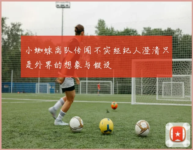 小蜘蛛离队传闻不实经纪人澄清只是外界的想象与假设