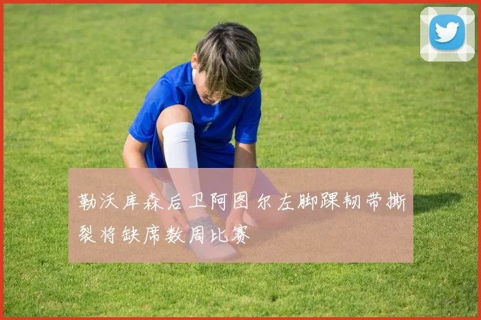 勒沃库森后卫阿图尔左脚踝韧带撕裂将缺席数周比赛