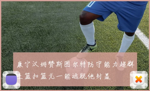 康宁汉姆赞斯图尔特防守能力超群上篮扣篮无一能逃脱他封盖