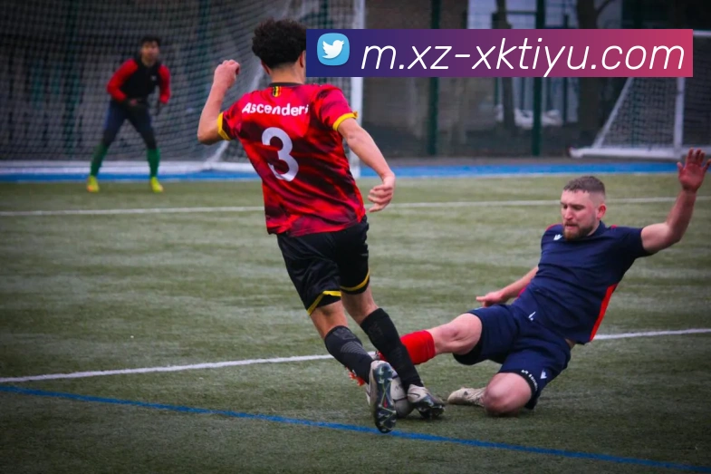 星空体育APP 封面图